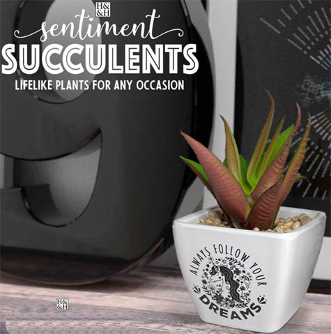 hhsucculents.jpg